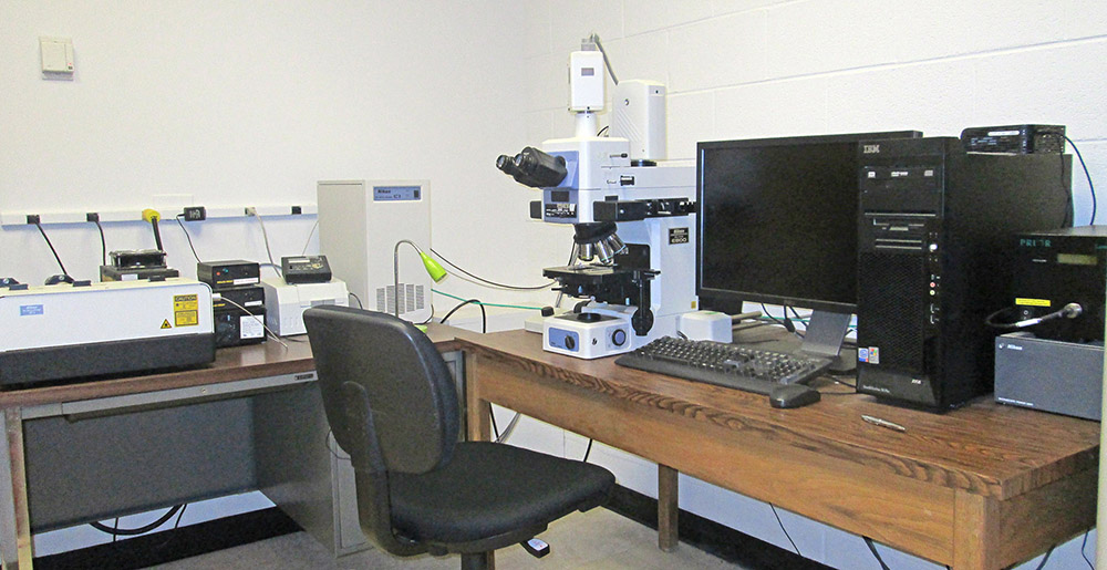 Upright Bright-Field & Wide-Field Fluorescence Microscope Nikon Eclipse 800 Upright Bright-Field & Wide-Field Fluorescence Microscope Nikon Eclipse 800