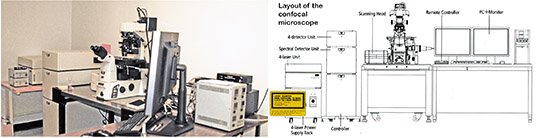 Confocal Scanning Fluorescence Microscope Nikon Ti-E A1rSi System Confocal Scanning Fluorescence Microscope Nikon Ti-E A1rSi System