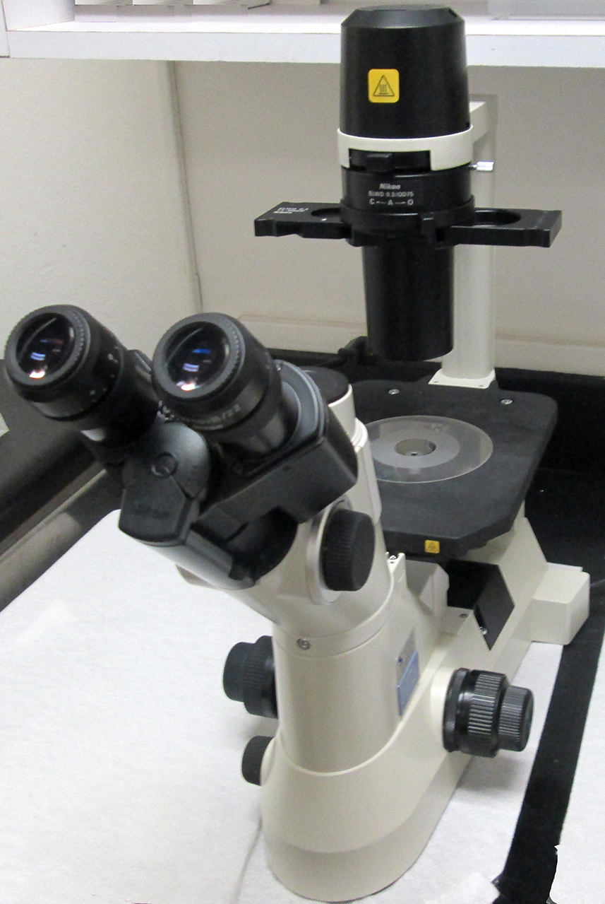 Click to Enlarge Nikon Eclipse TS 100