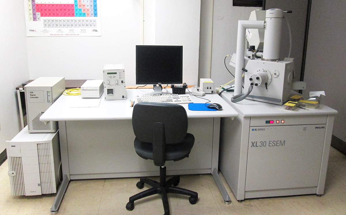 ENVIRONMENTAL SCANNING ELECTRON MICROSCOPE ENVIRONMENTAL SCANNING ELECTRON MICROSCOPE