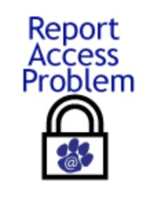 Report Access Problem