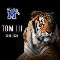 Tom III