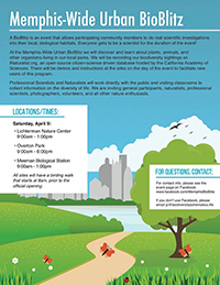 Memphis-Wide Urban BioBlitz
