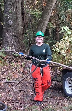 Brush Clearing Brush Clearing