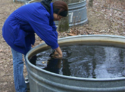 Students at the Meeman Educational tours