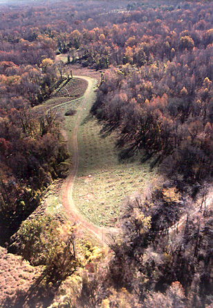 Research at the Edward J. Meeman Biological Station