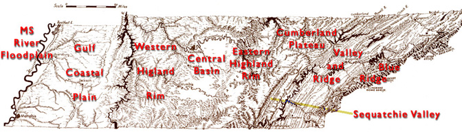 Gulf Coastal Plain Uplands