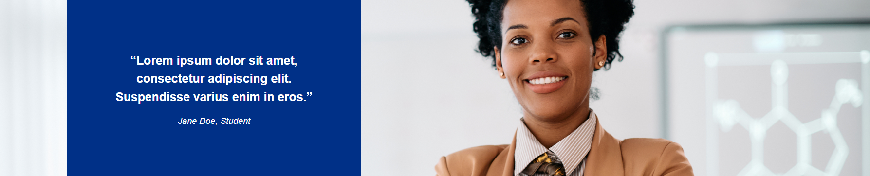 Quote with Left or Right Image Snippet Example