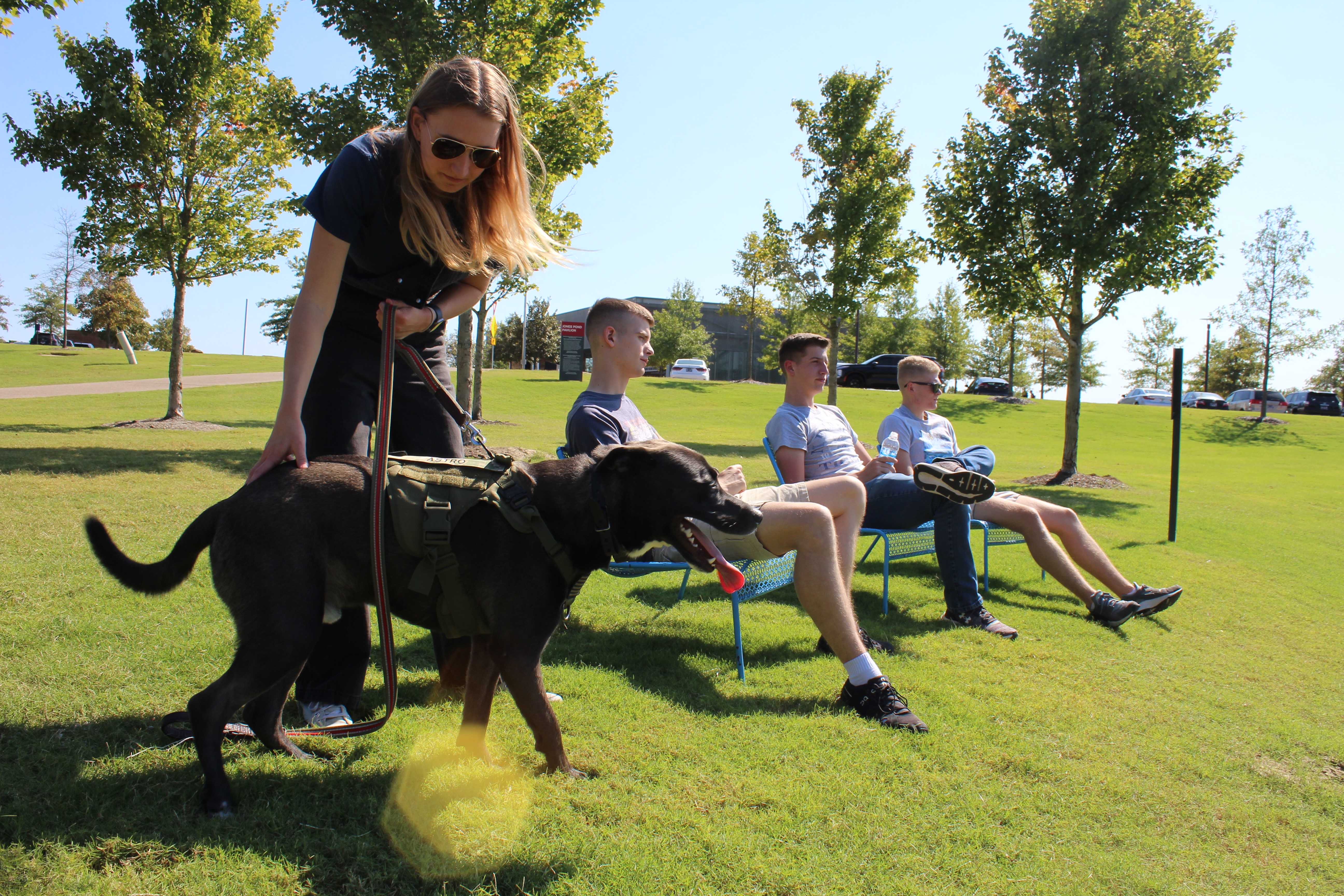 Halfway Night Photo 8