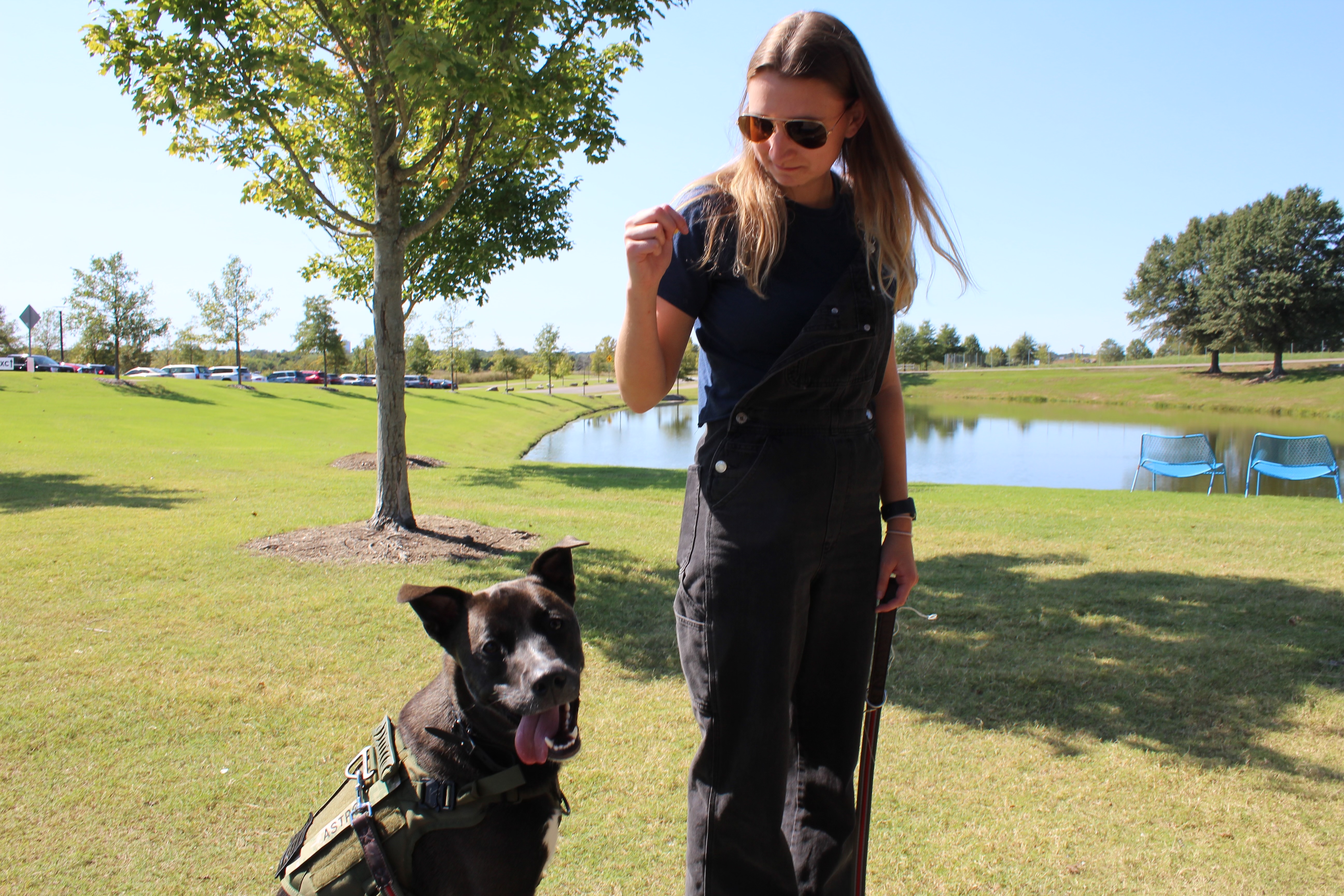 Halfway Night Photo 6