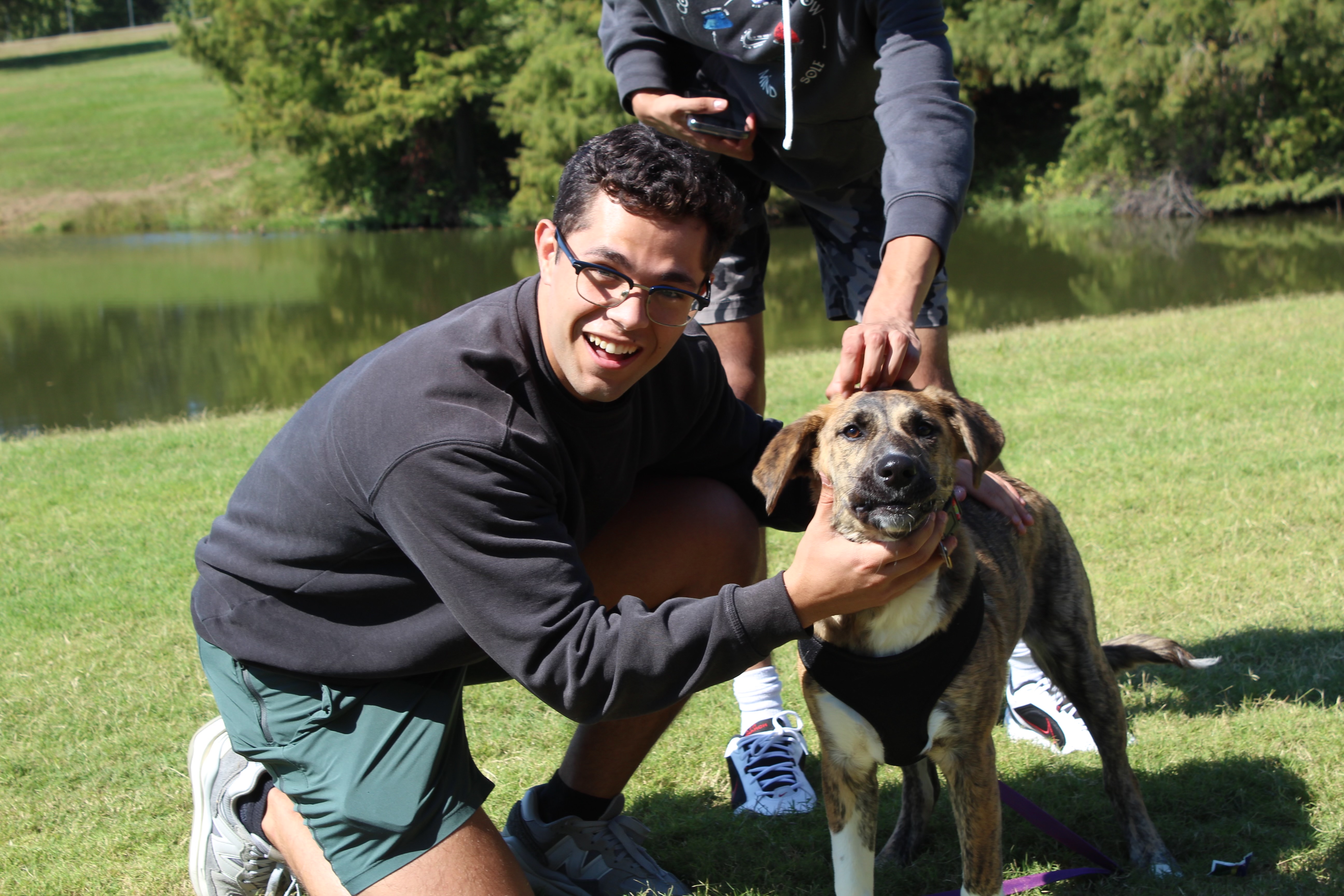 Halfway Night Photo 3