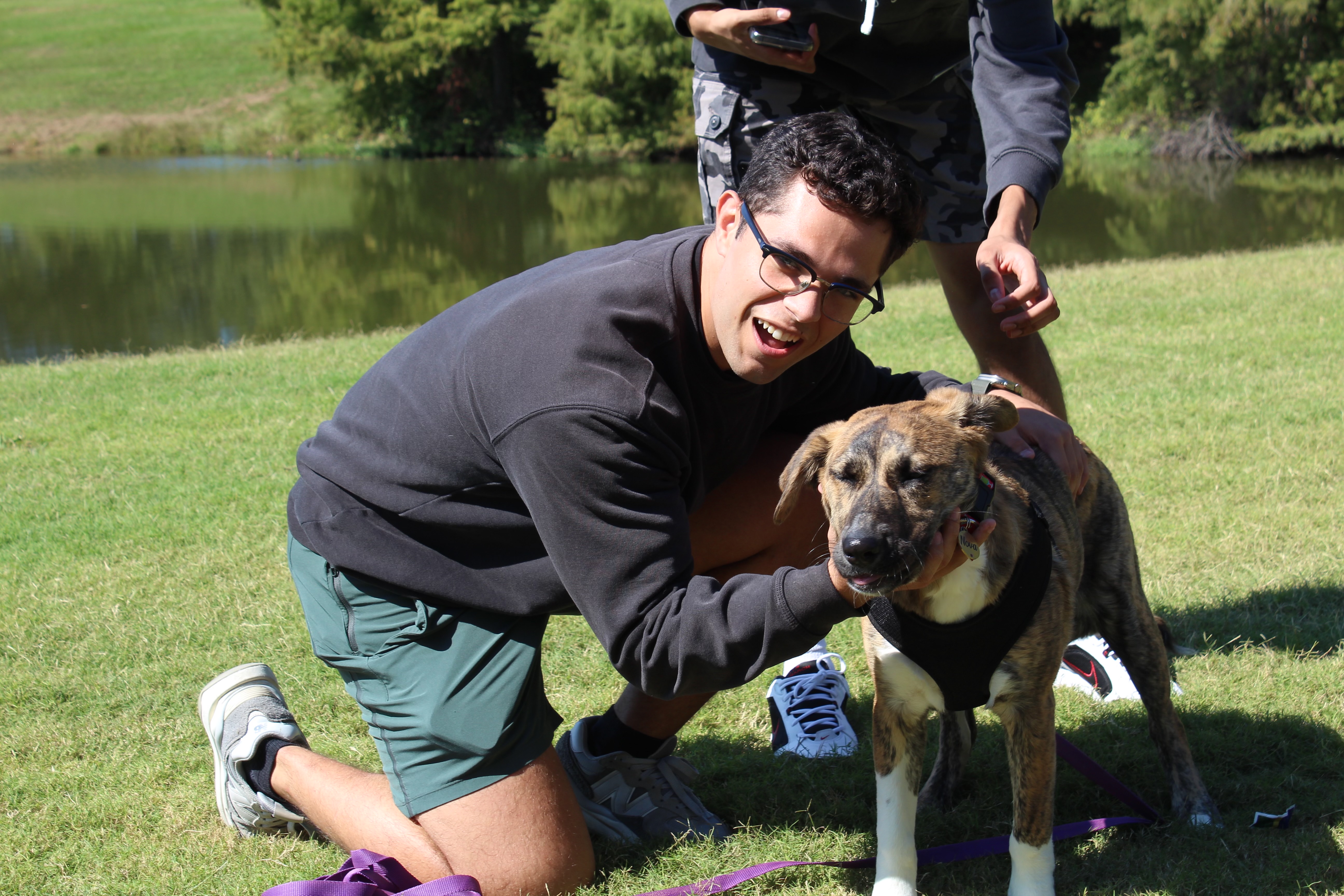 Halfway Night Photo 2