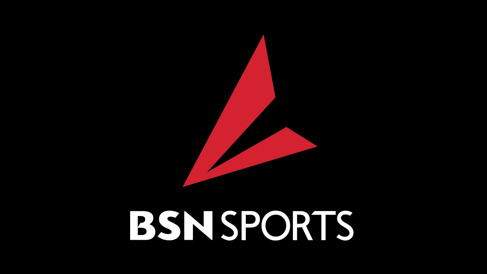 BSN Logo
