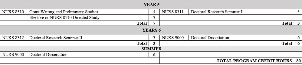 BSN to PHD Curriculum
