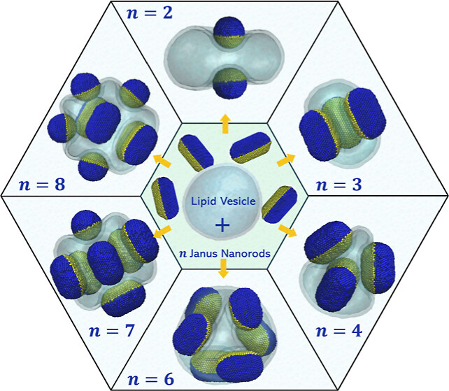 ACS Nano Journal Article Art