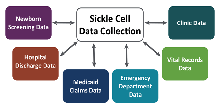 Sickle Cell Data Collection Chart showing different types of sickle cell data sources