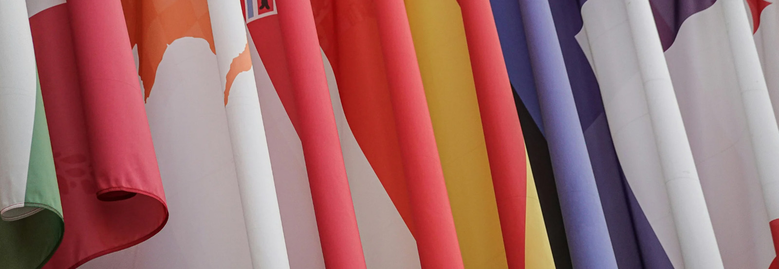 Public Health Diplomacy Lab - Flags of various countries