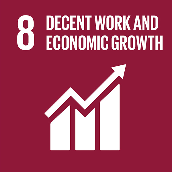 Logo of SDG 8