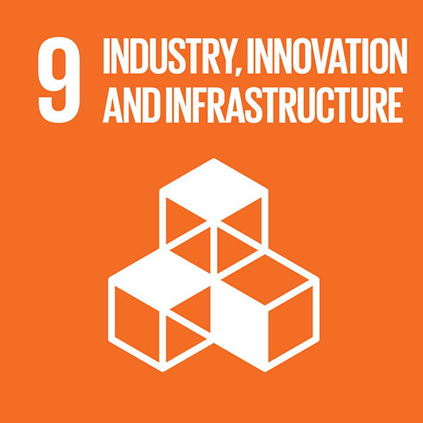 Logo of SDG 9