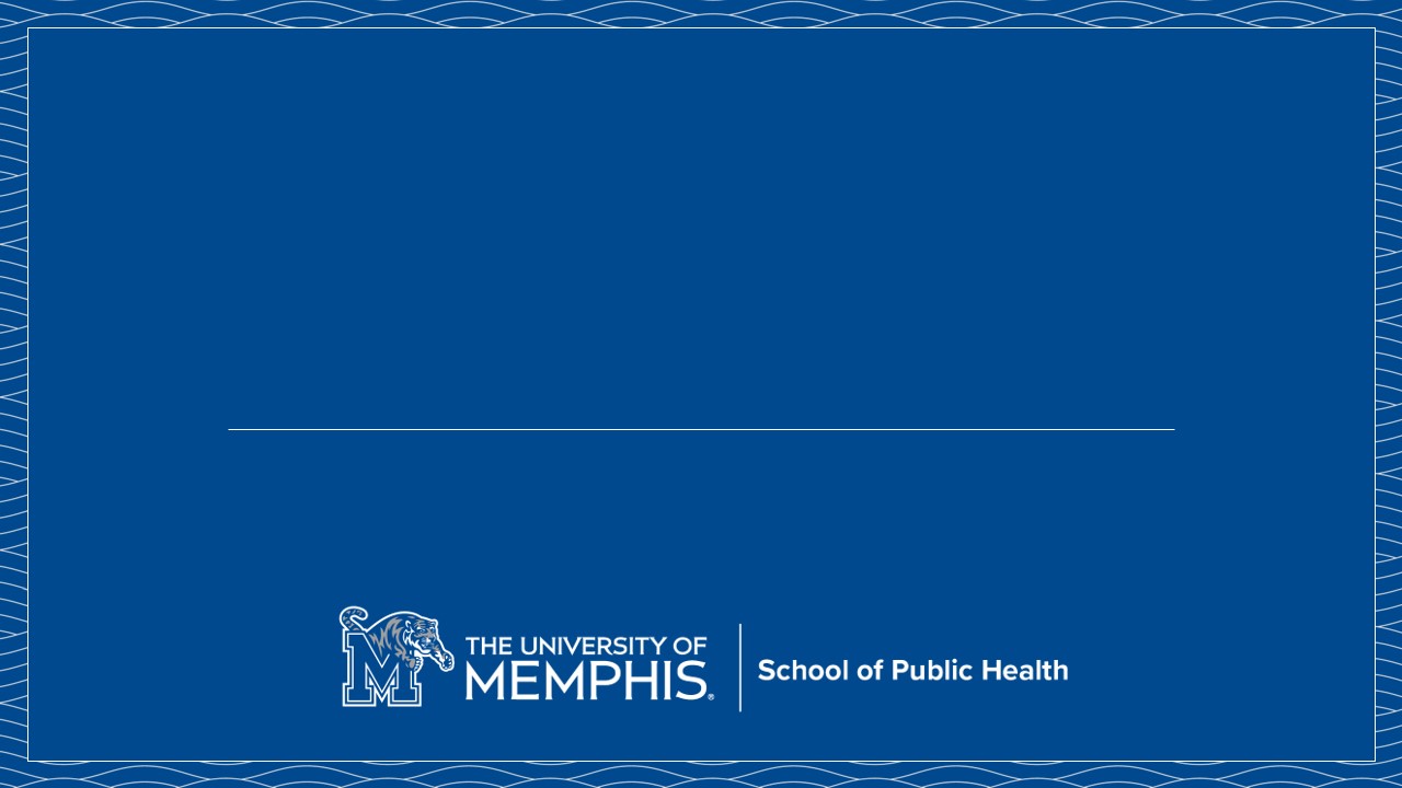 SPH PowerPoint Template 2