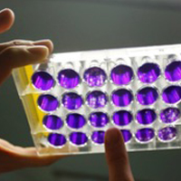 Jiang research thumbnail