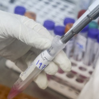 close up of hand holding covid test