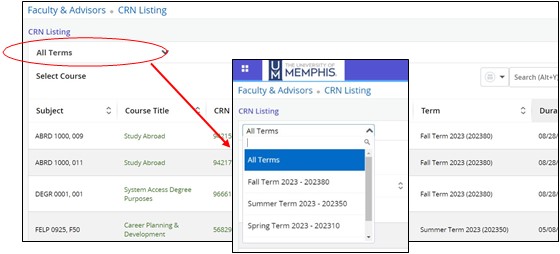 All Terms dropdown selected