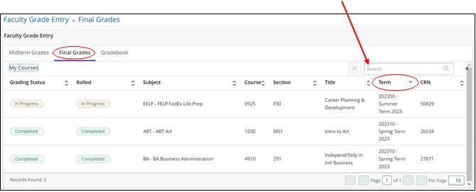 term column and search bar