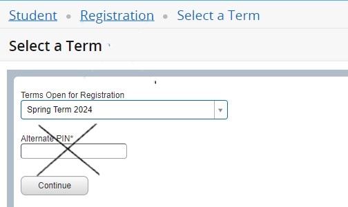 the alternate PIN field is crossed out