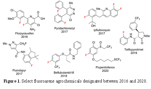 Chromium Catalyst