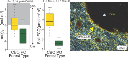 Micro X-Ray Fluorescence Spectrometer
