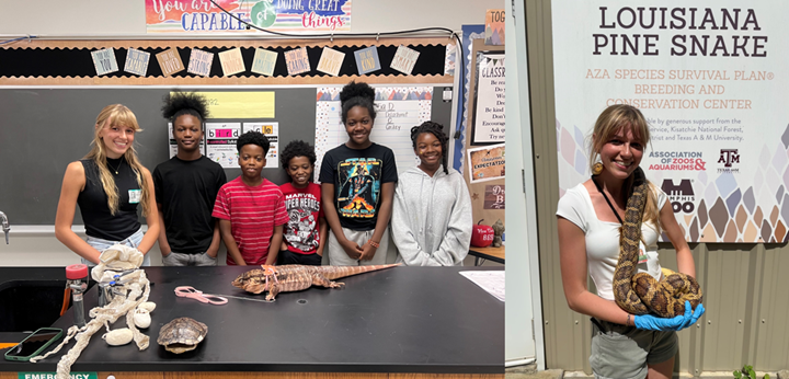 Rebecca Davis Rebecca Davis