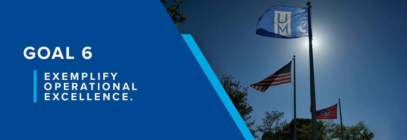 strategic plan goal 6 exemplify operational excellence