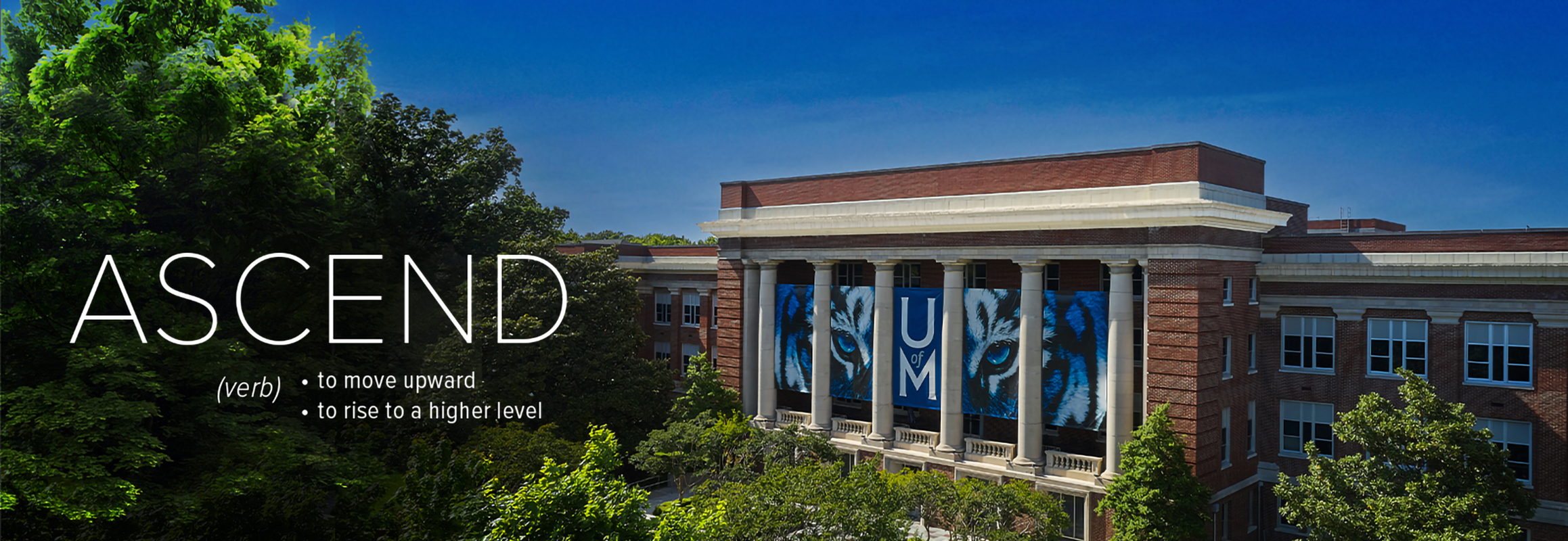 Strategic plan: Ascend—move upward to rise to a higher level