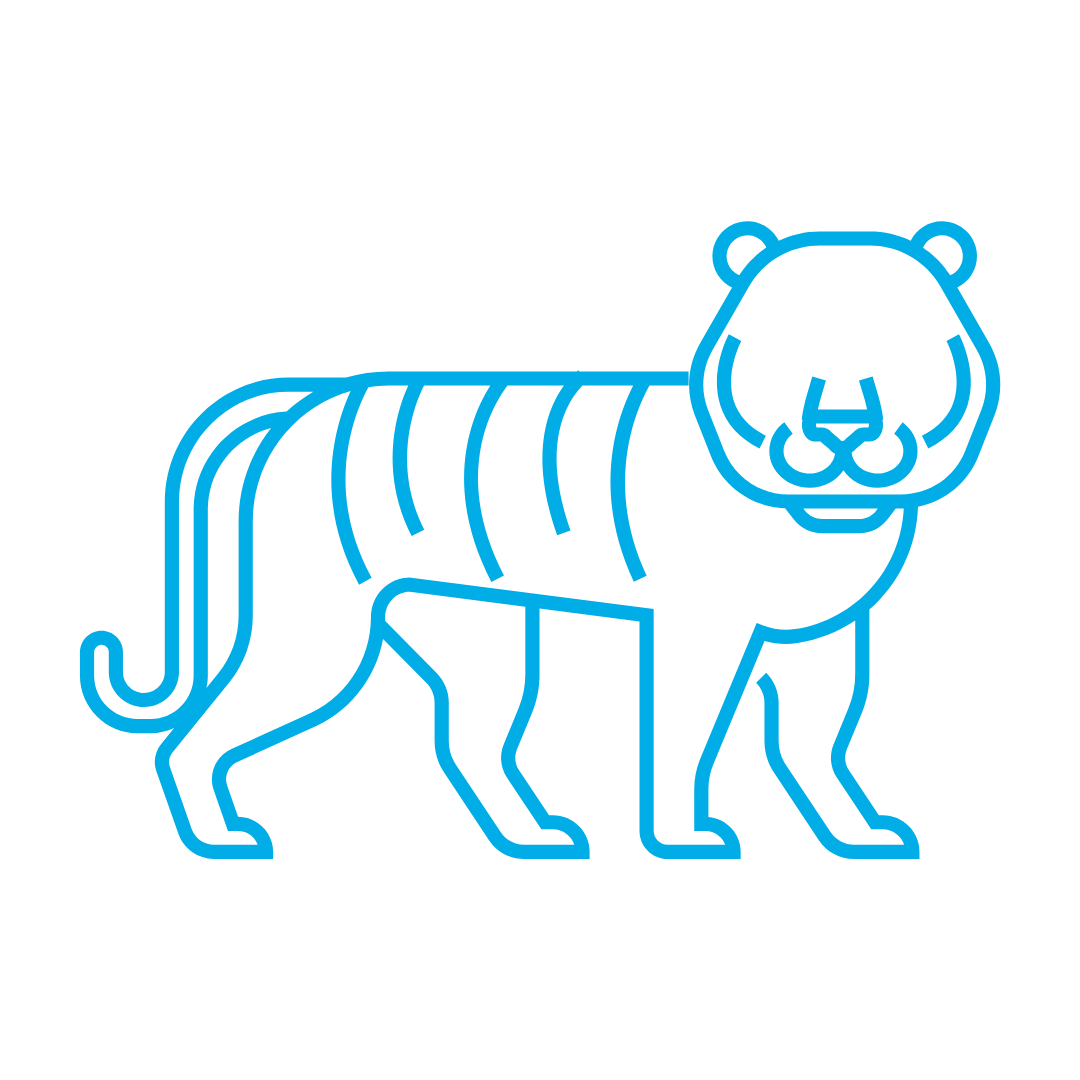 tiger