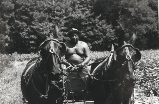 A man plowing in Fayette County