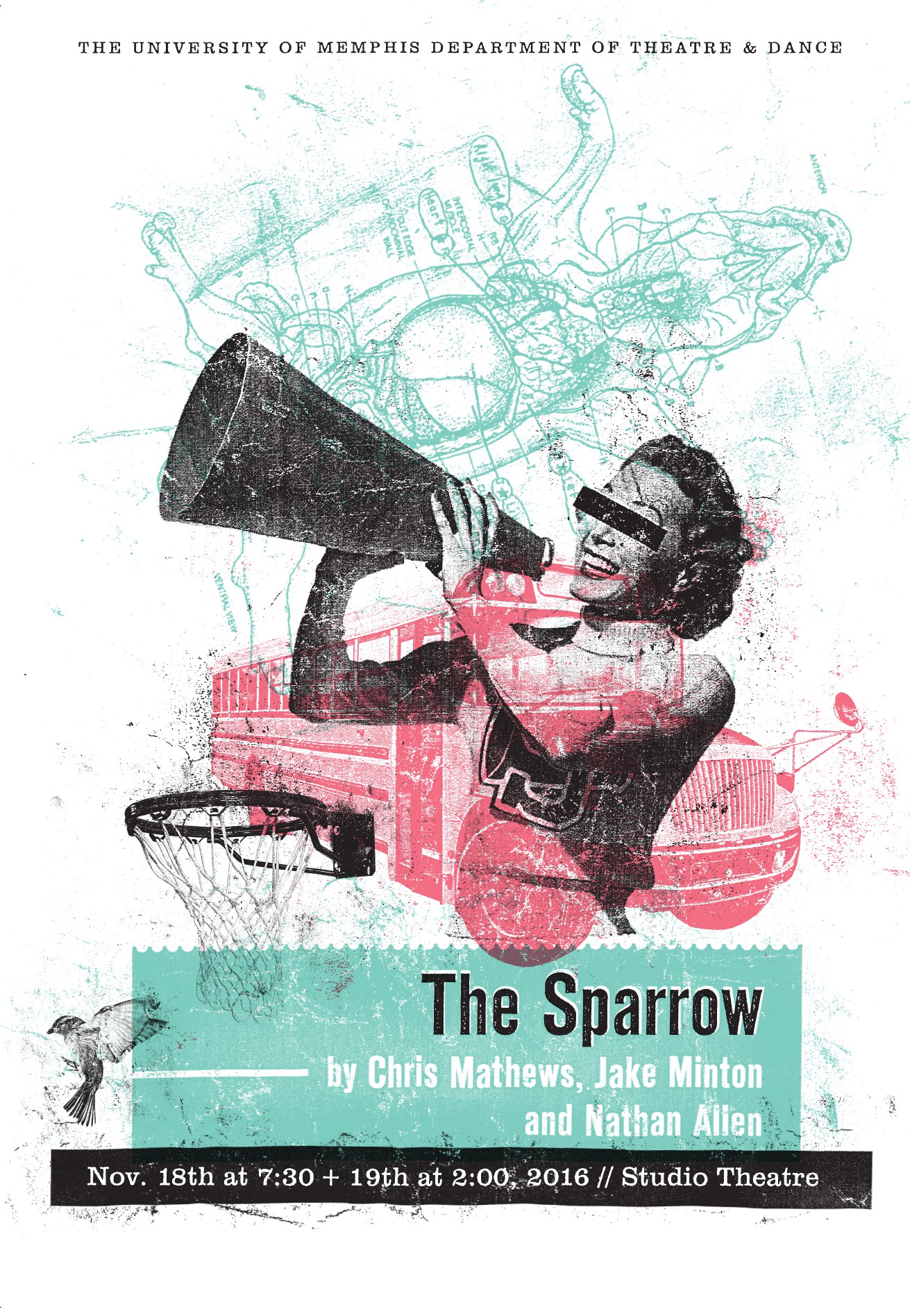 sparrow