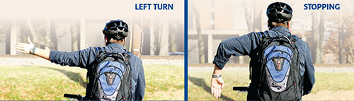 Cyclist making "left turn" and "stopping" signals Cyclist making "left turn" and "stopping" signals