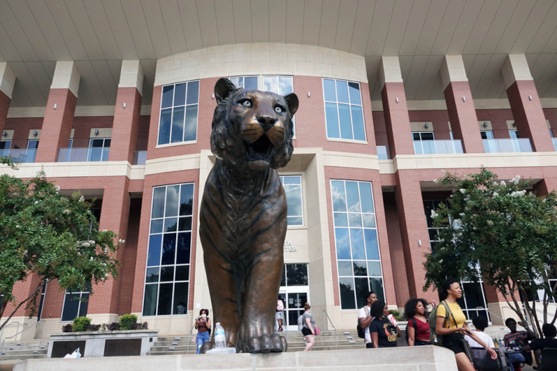 Tiger Statue in front of University Building