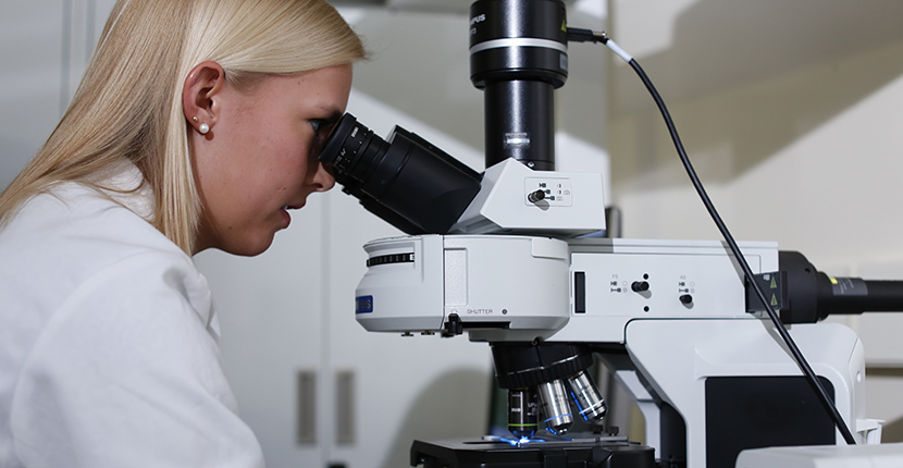 Undergraduate Research