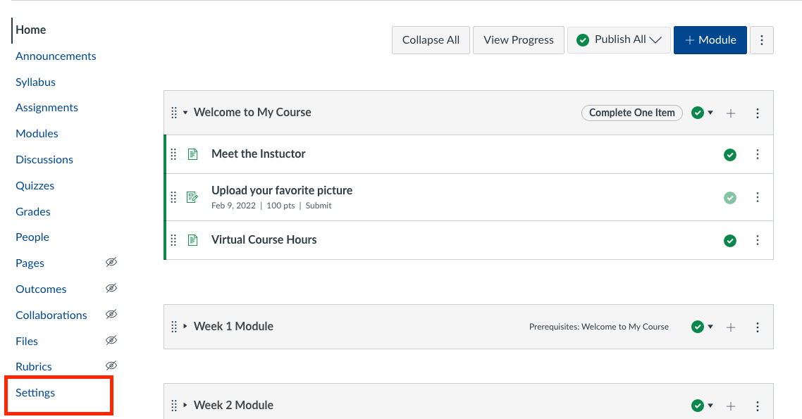 Screenshot of Canvas Navigation