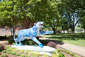 UofM Mighty Sound of the South Marching Band