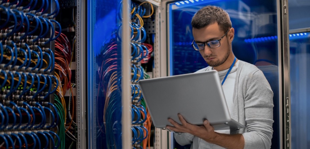 information technology IT undergraduate students