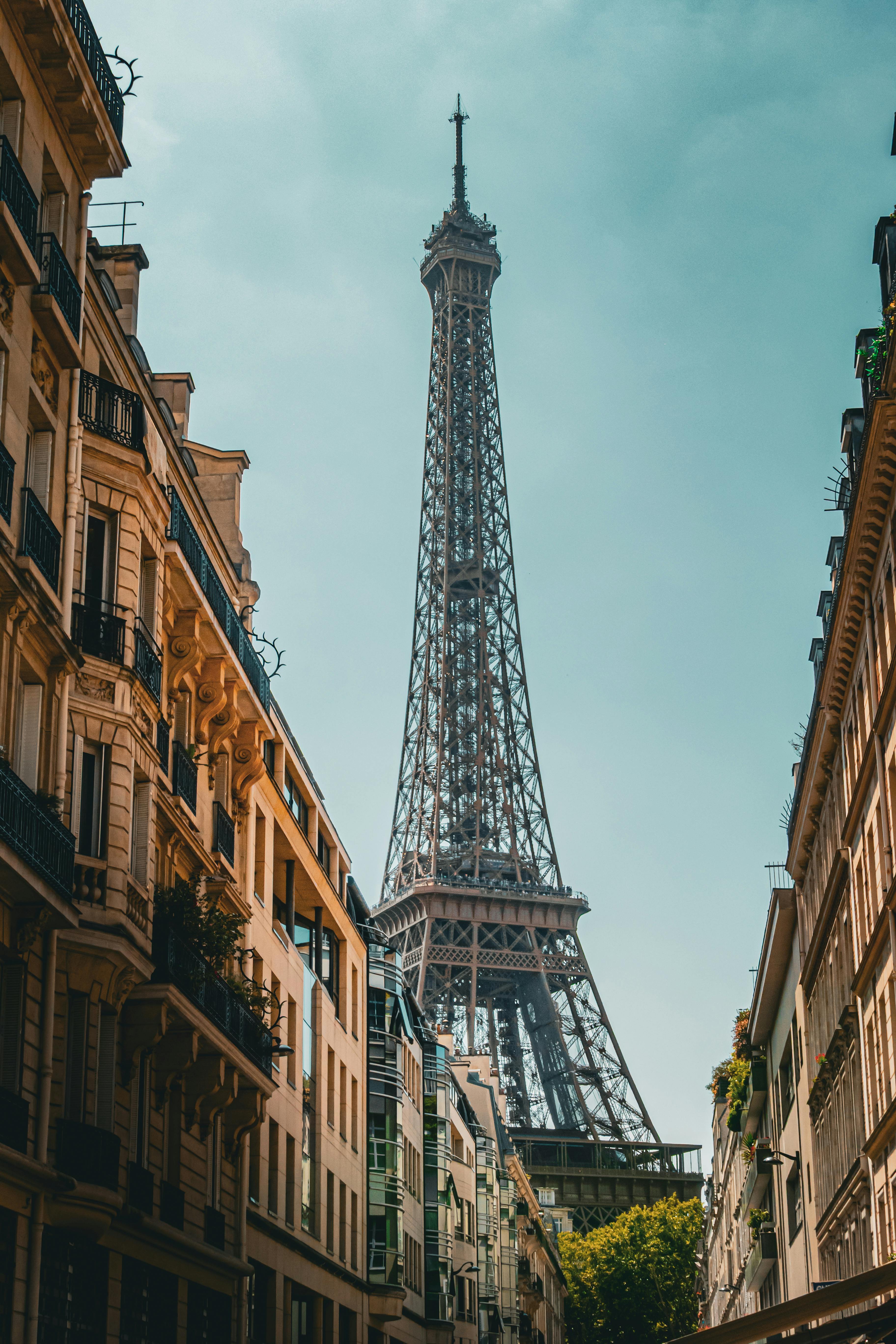 french image